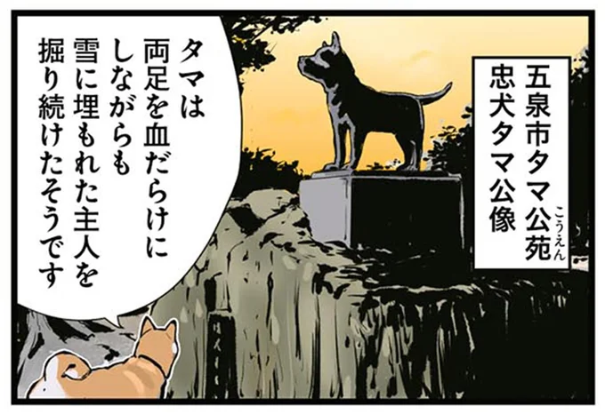 忠犬タマ公