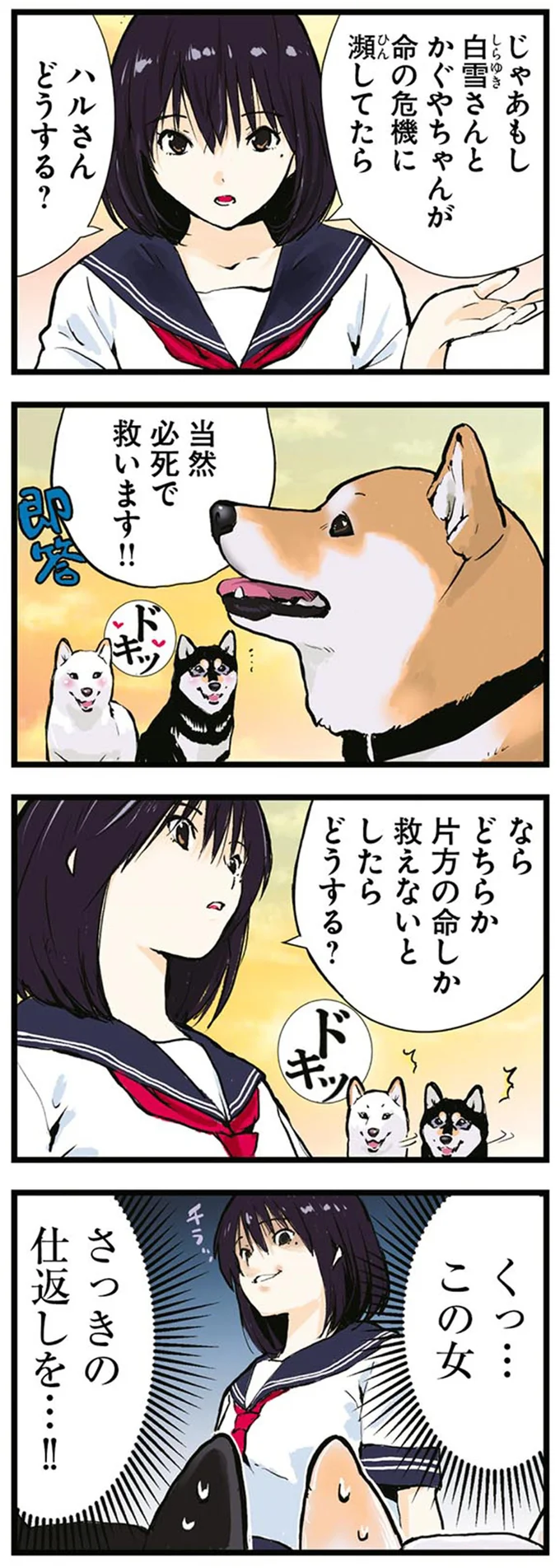 どちらか片方の命しか救えないとしたらどうする？