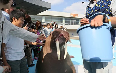 「うみたまご」ではありのままの動物と触れ合いが魅力