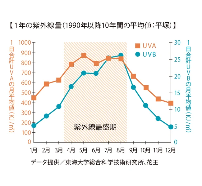 【写真を見る】紫外線の量は季節によってこんなに変化する！