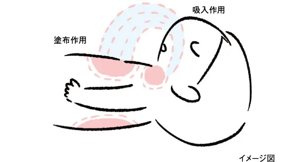 「吸入」「塗布」の2つの作用でかぜ症状を和らげます