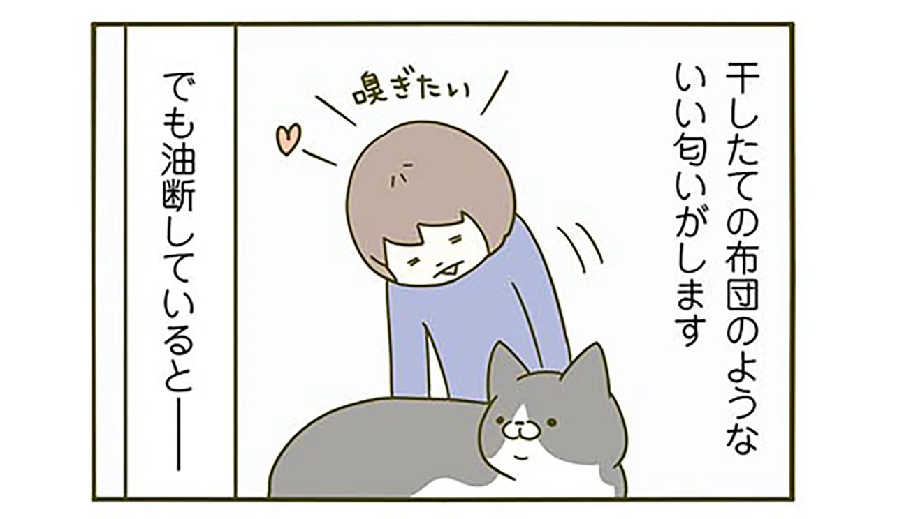 日光浴をしている猫の匂いを嗅ぎたい。でもそれは思わぬ罠だった