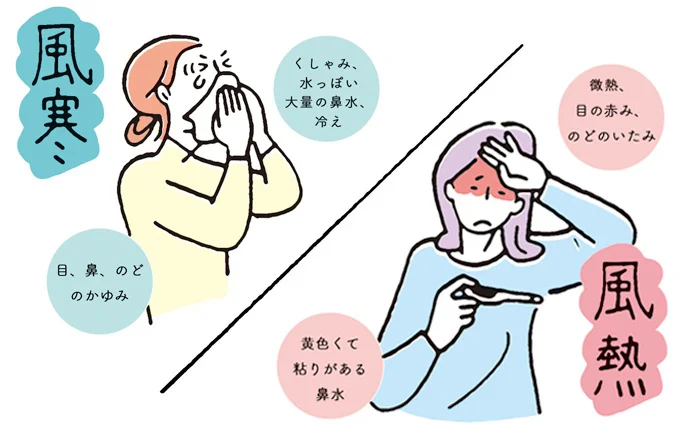 症状で見分ける2タイプの花粉症。「風寒(ふうかん)タイプ」「風熱(ふうねつ)タイプ」