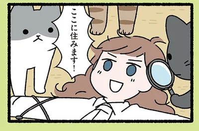ここに住みます！