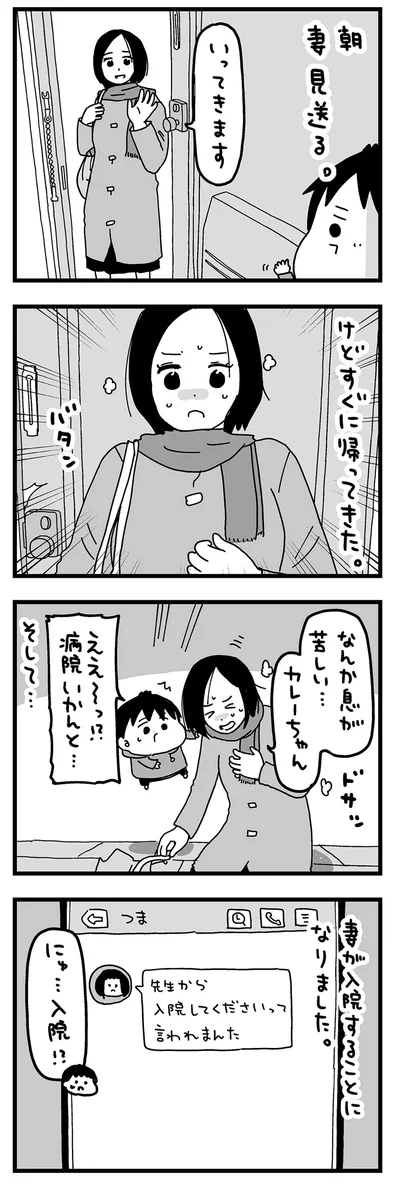 『大好きな妻が難病になった話～ふうふの日記マンガ～』より