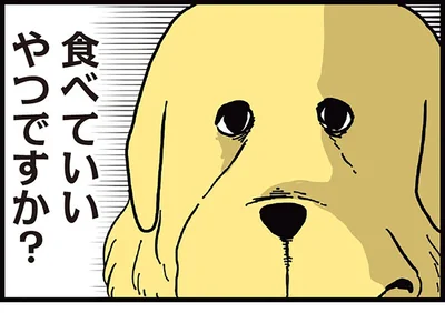 食べていいやつですか？