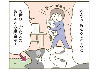 あんなところに