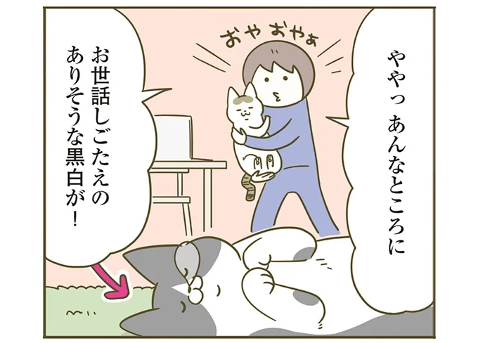 あんなところに