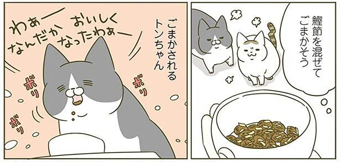 ごまかされる