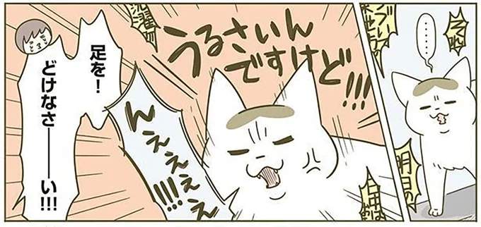 うるさいんですけど！！