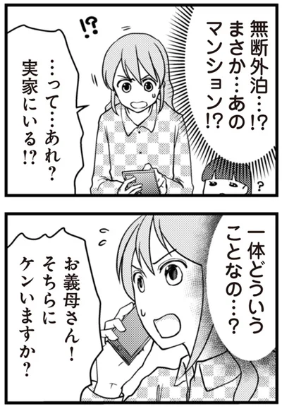 『サレ妻になり今は浮気探偵やってます　夫が知らない女と結婚式挙げてました』より