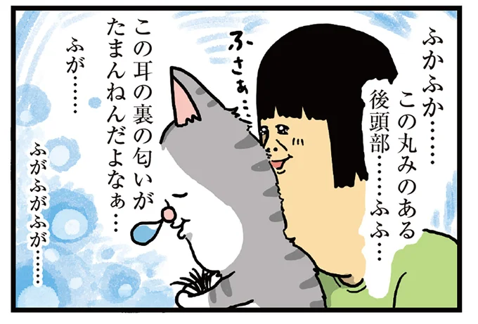 ふかふか……