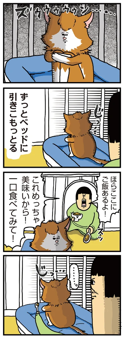 ナイーブな引きこもり猫