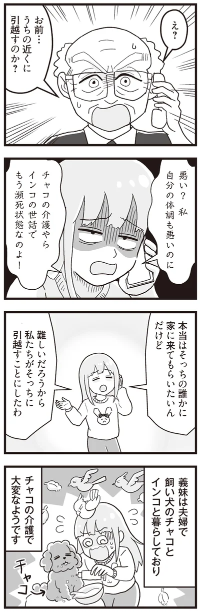 私たちがそっちに引っ越すことにしたわ
