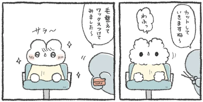 美容室ではサラサラだったのに。家で再現できないのは、なぜ？？／うさおはすてきに暮らしたい（6）