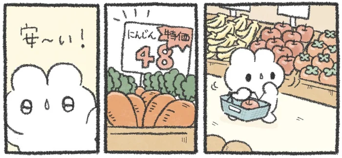 「安～い！」特価で買えて得した気分♪のはずが!?／うさおはすてきに暮らしたい（14）