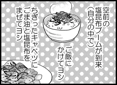 私的、空前の塩昆布ブーム！