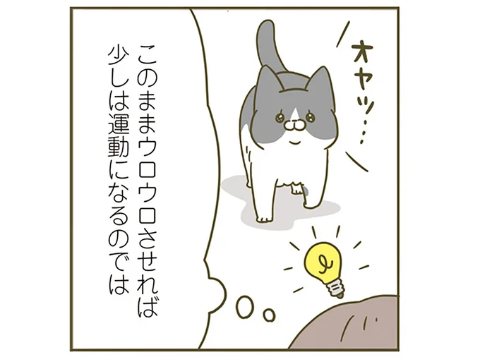 オヤツ…