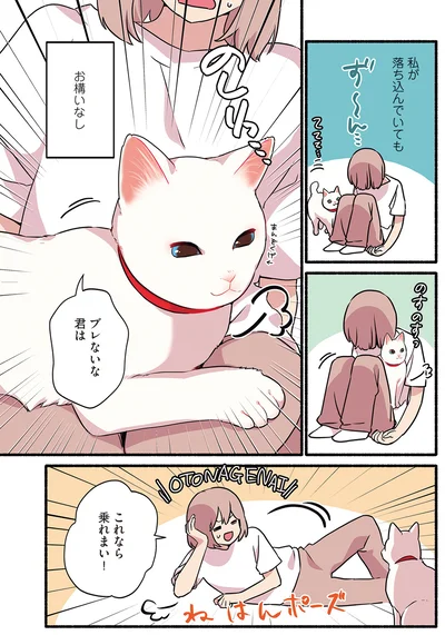 ブレないな君は