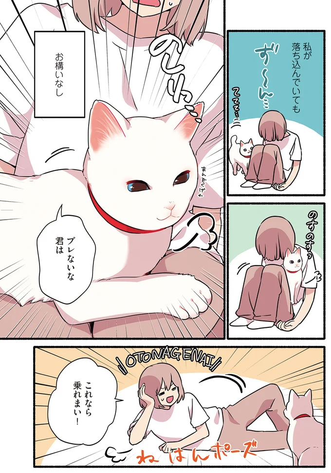 ブレないな君は