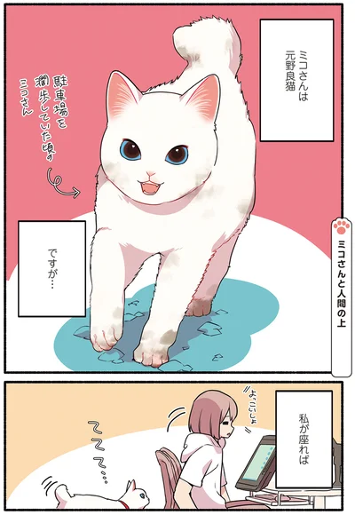 ミコさんは