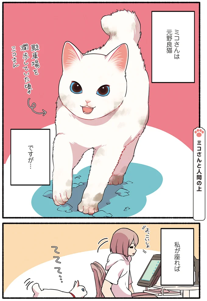 ミコさんは