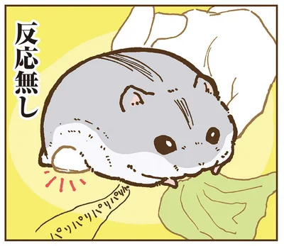 どこを触って大丈夫？反応なし