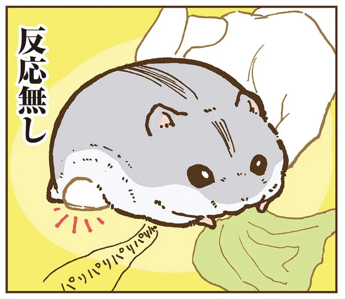 どこを触って大丈夫？反応なし