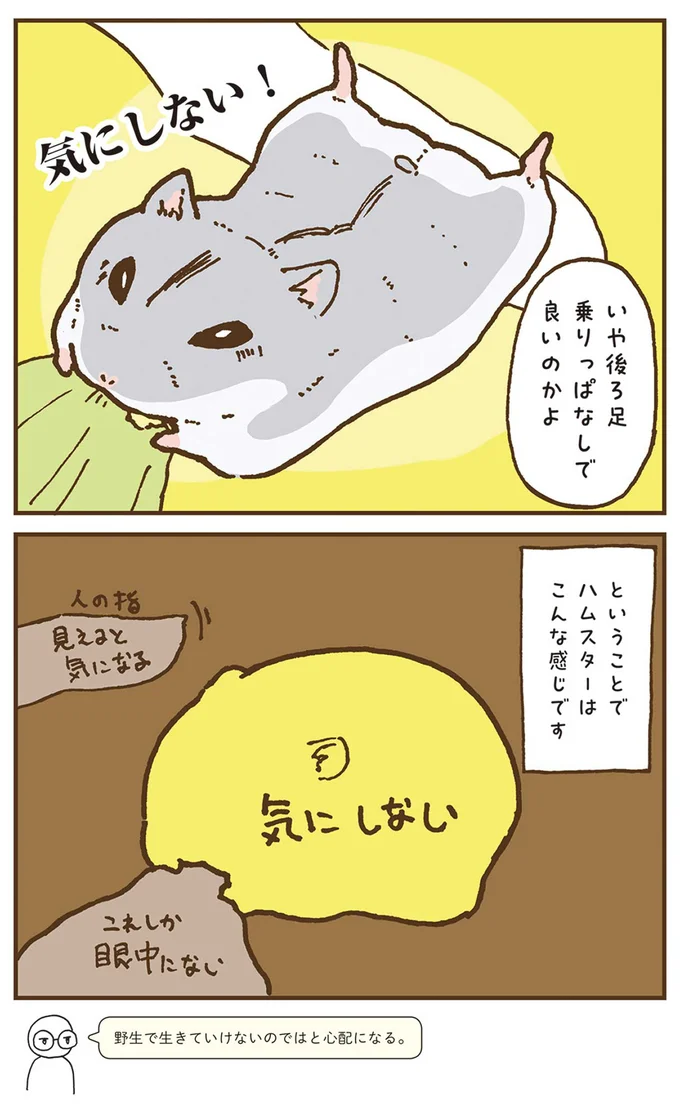 気にしない！