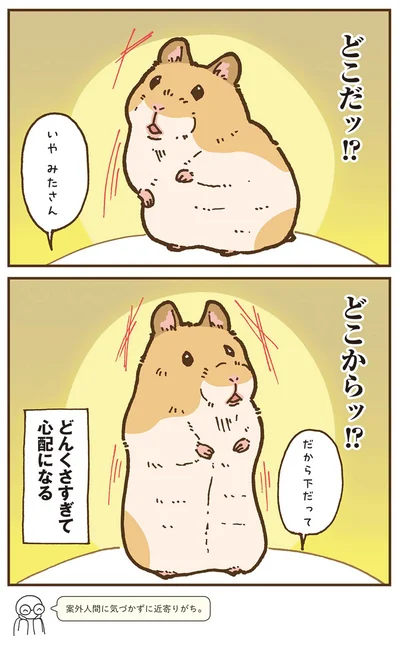 『今日もハムスターから目が離せない！』より