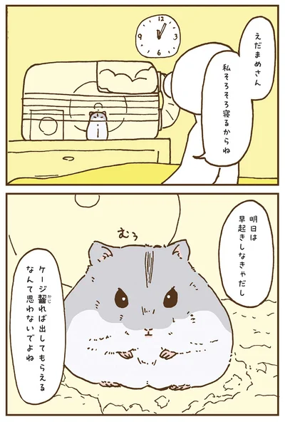 『今日もハムスターから目が離せない！』より