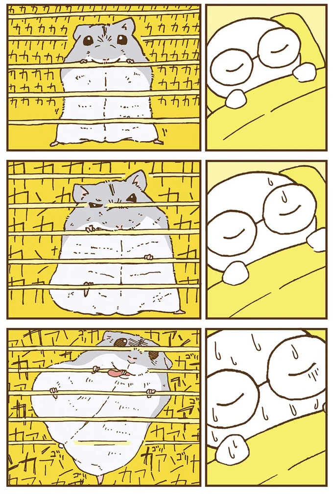 『今日もハムスターから目が離せない！』より