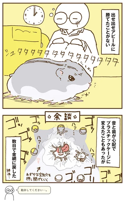 『今日もハムスターから目が離せない！』より