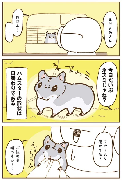 『今日もハムスターから目が離せない！』より