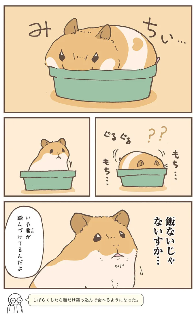 『今日もハムスターから目が離せない！』より