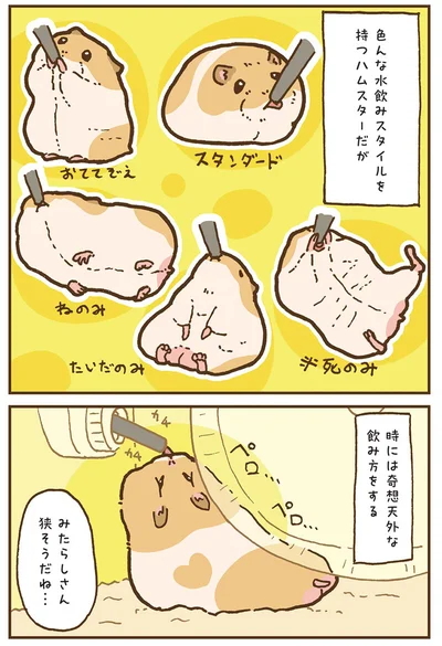 『今日もハムスターから目が離せない！』より