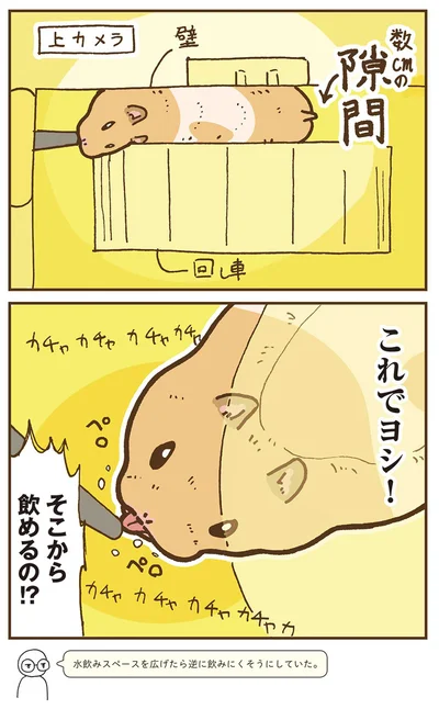 『今日もハムスターから目が離せない！』より
