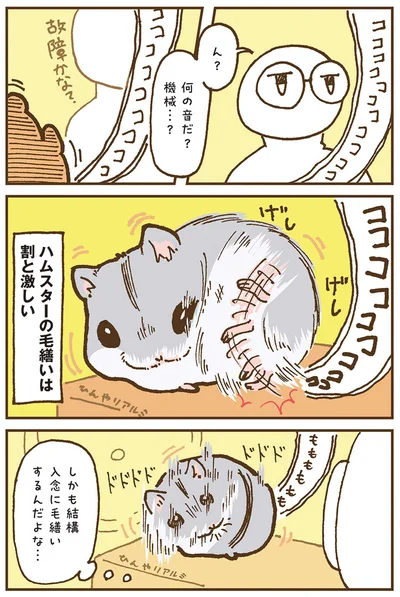 『今日もハムスターから目が離せない！』より