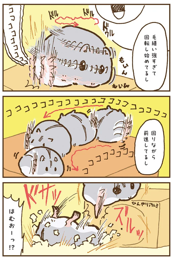 『今日もハムスターから目が離せない！』より