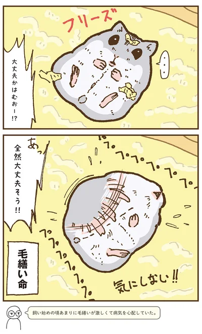 『今日もハムスターから目が離せない！』より
