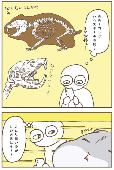『今日もハムスターから目が離せない！』より