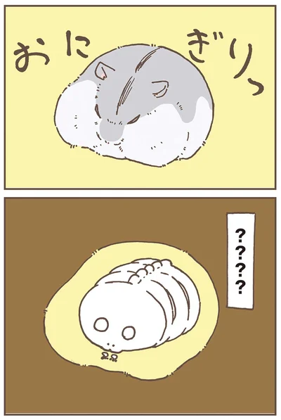 『今日もハムスターから目が離せない！』より