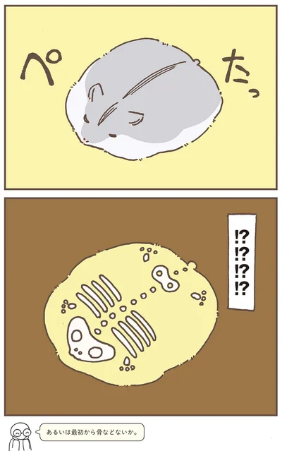 『今日もハムスターから目が離せない！』より