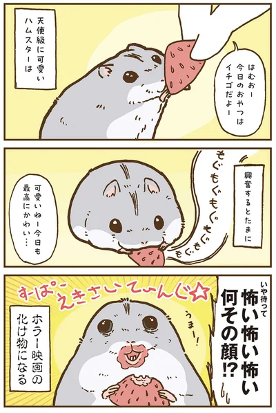 『今日もハムスターから目が離せない！』より