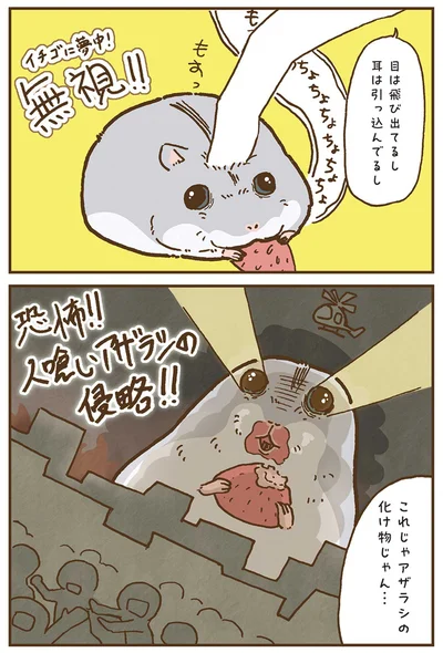 『今日もハムスターから目が離せない！』より