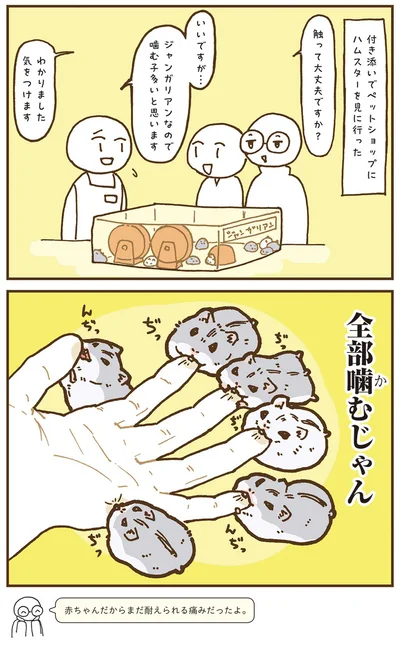 『今日もハムスターから目が離せない！』より
