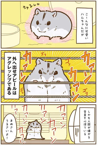 『今日もハムスターから目が離せない！』より