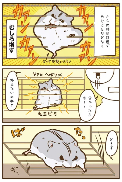 『今日もハムスターから目が離せない！』より