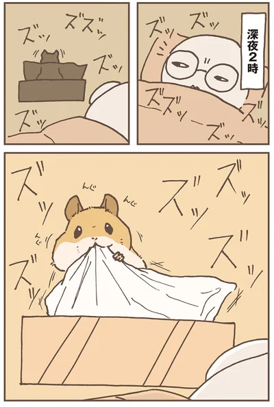 『今日もハムスターから目が離せない！』より