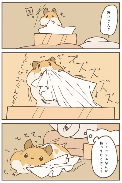 『今日もハムスターから目が離せない！』より